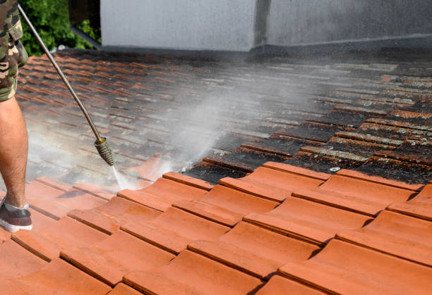 Trusted Virginia Beach, VA Pressure Washing Experts